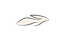 Lento